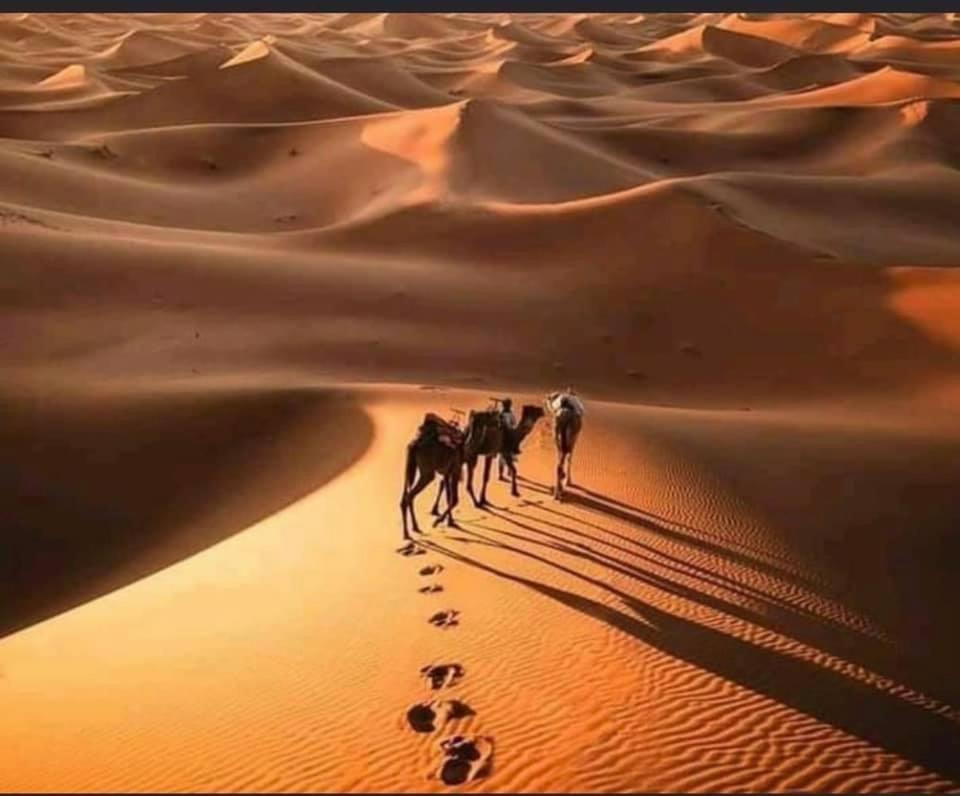 Camp Desert Bivouac Chegaga El Gouera ภายนอก รูปภาพ