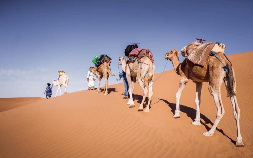 Camp Desert Bivouac Chegaga El Gouera ภายนอก รูปภาพ