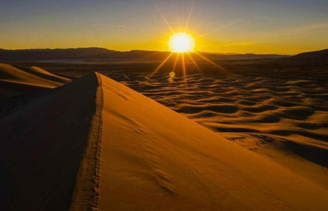 Camp Desert Bivouac Chegaga El Gouera ภายนอก รูปภาพ