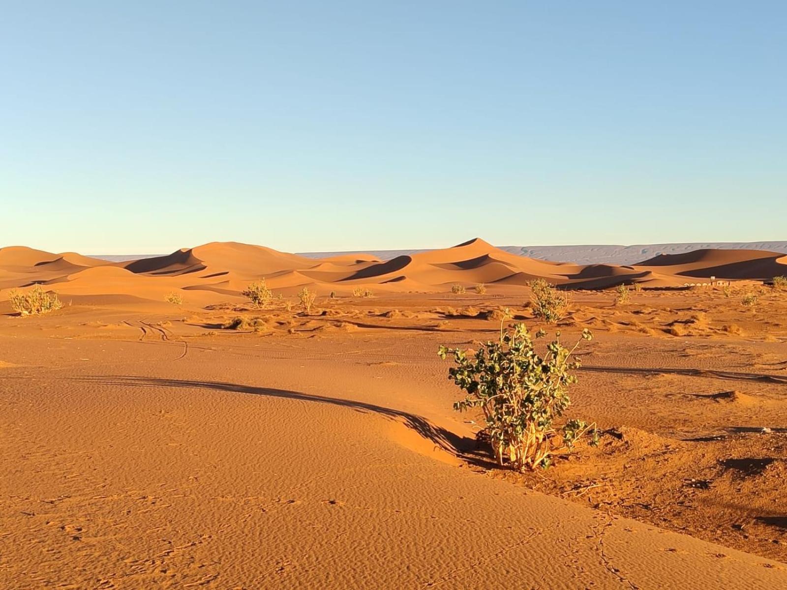 Camp Desert Bivouac Chegaga El Gouera ภายนอก รูปภาพ
