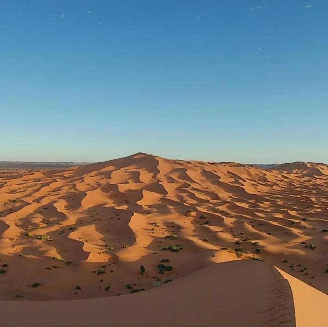 Camp Desert Bivouac Chegaga El Gouera ภายนอก รูปภาพ