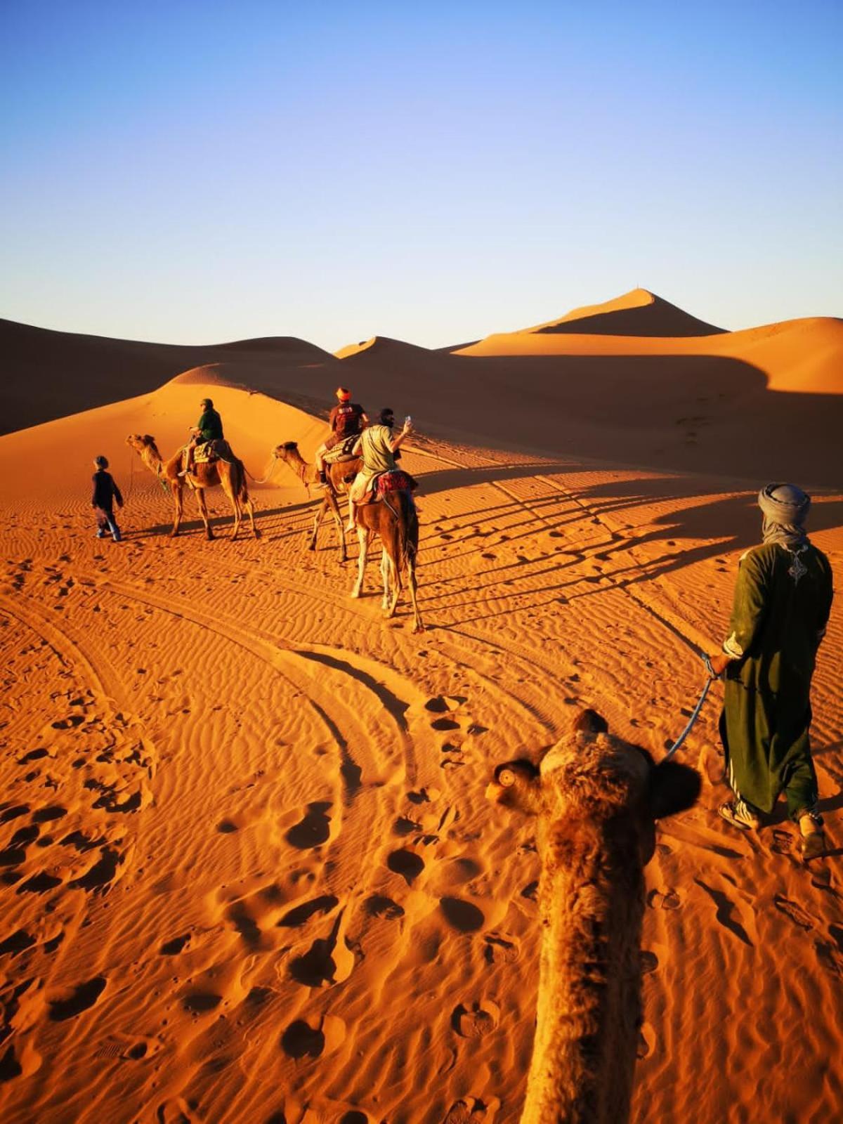 Camp Desert Bivouac Chegaga El Gouera ภายนอก รูปภาพ