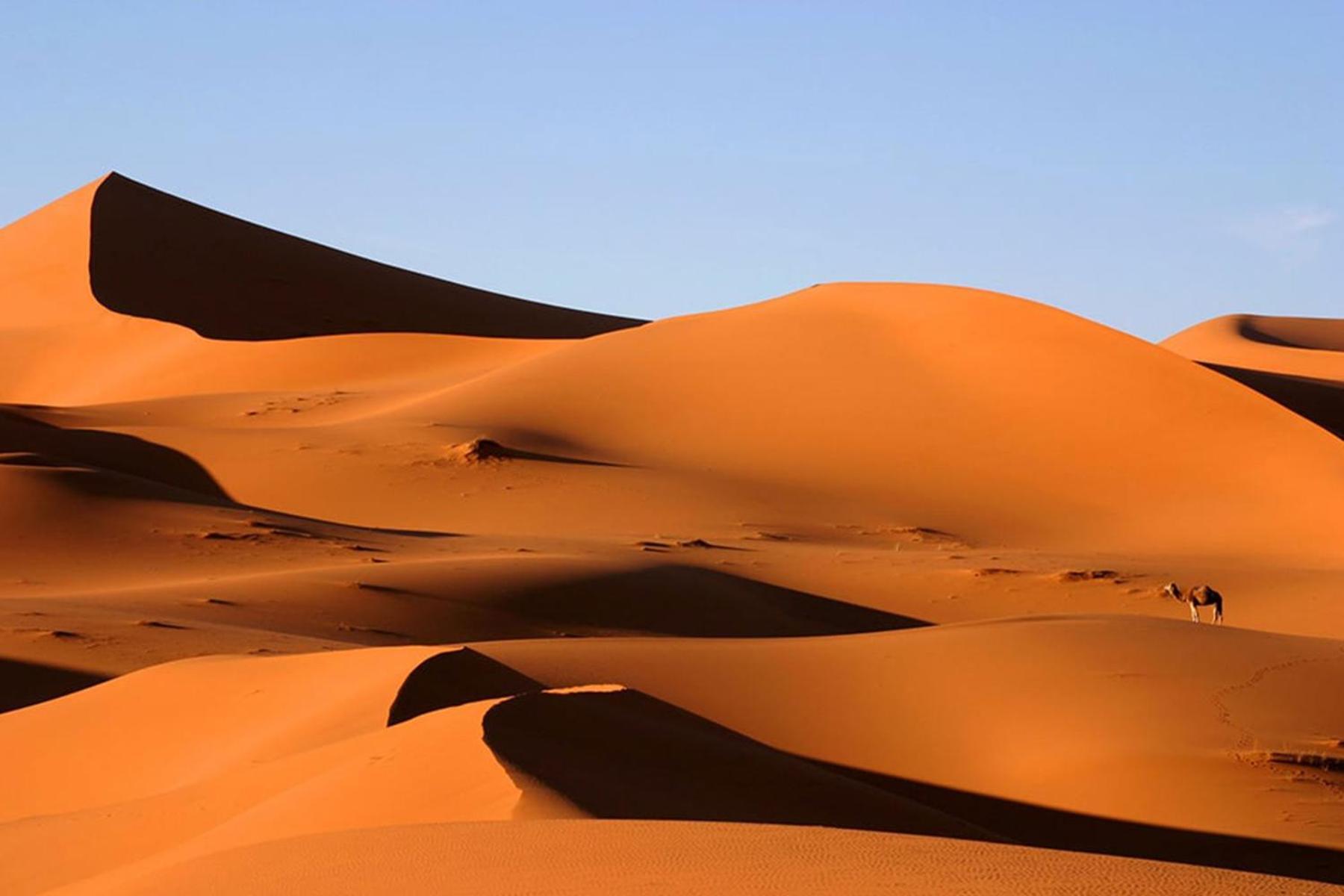 Camp Desert Bivouac Chegaga El Gouera ภายนอก รูปภาพ