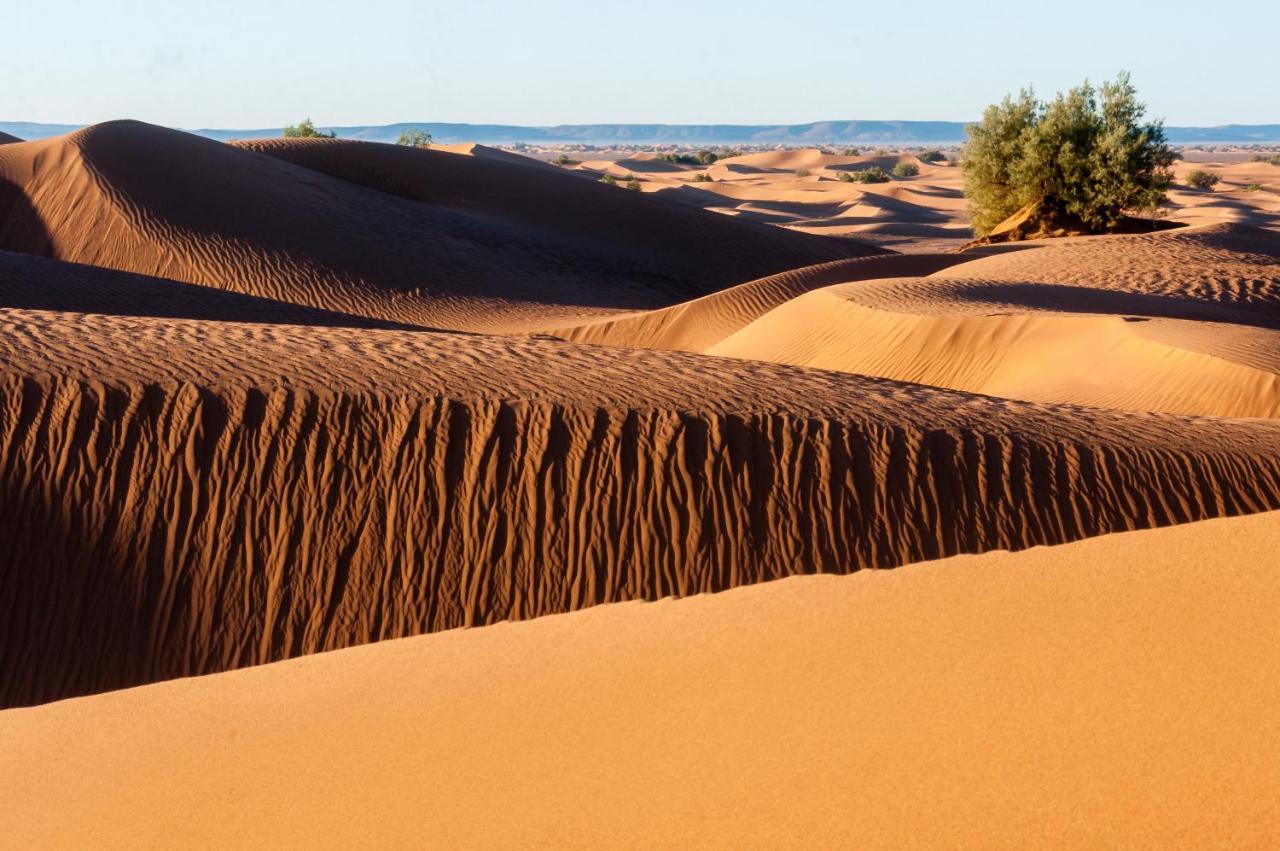 Camp Desert Bivouac Chegaga El Gouera ภายนอก รูปภาพ